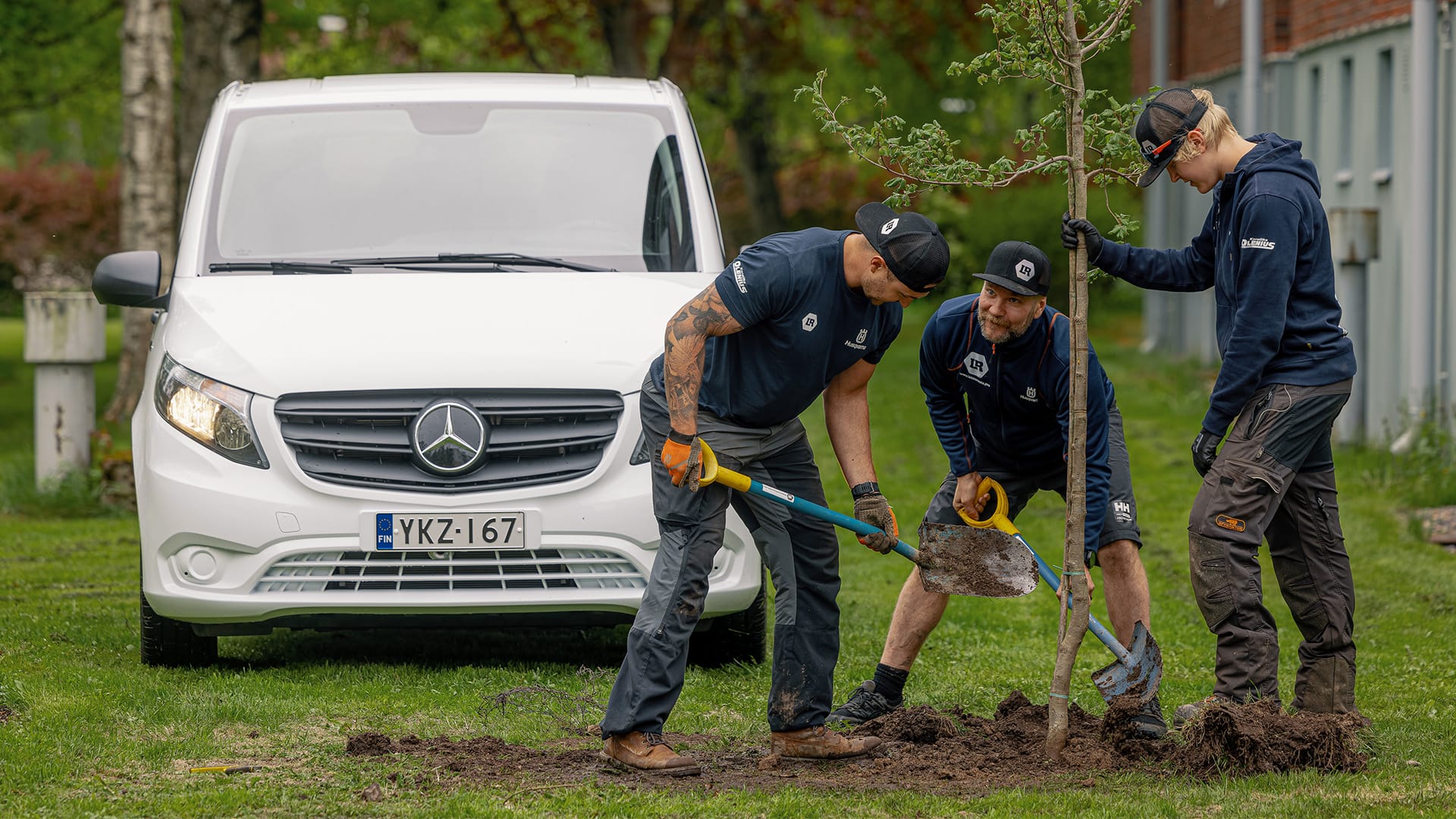 Miehet istuttavat puuta Vito-pakettiauton edessä
